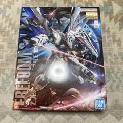 2026年最新】MG 1/100 ZGMF-X10A フリーダムガンダム の人気アイテム