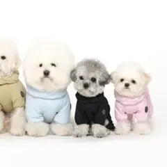 Item thumbnail for item 5eb6d6f7-9330-48b7-b6b4-5755dd84a79d