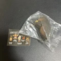 アニマルジャズひぐま
