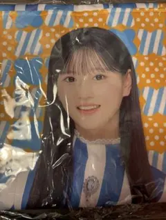 Item thumbnail for item 3bed446e-f91c-4e26-b37a-91d3ca4f9294