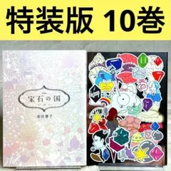 特装版 The Party At The End 宝石の国 12巻 市川春子 - メルカリ