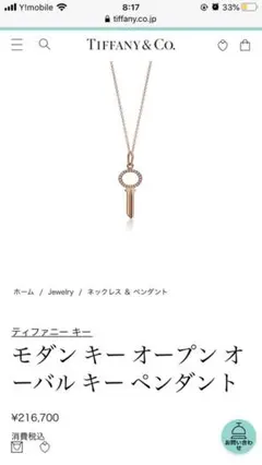 【新品・未使用】ティファニー モダン キー オープン オーバル キー ペンダン
