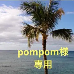 ①pompom様専用　ふき　700g　ネコポス発送　山ふき