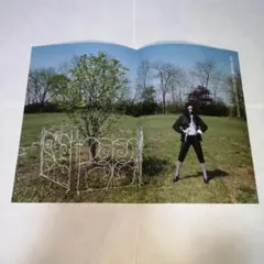 TWICE LIL FANTASY vol.1 一般盤 折りポスター チェヨン