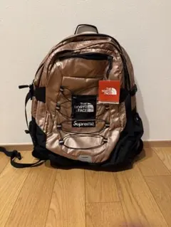 Supreme×THE NORTH FACE/【18SS】Backpack