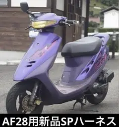 スーパーディオzx(AF28zx)用新品SPハーネス制作