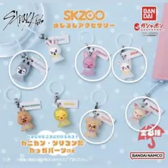 Stray Kids SKZOO めじるしアクセサリー 5つ 5点 セット