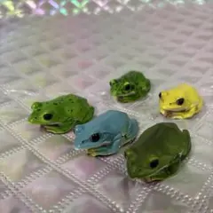 カラフルカエルマグネットフィギュアセット　♡5セット♡