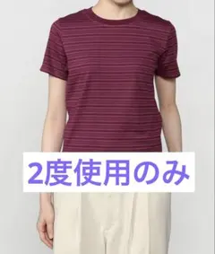 【極美品】Yonetomi 別注　クルーネックボーダーTシャツ　パープル