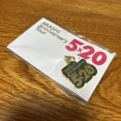 嵐 5×20 チャーム