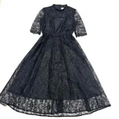 AIMER エメ　総レース袖付きフレアドレス　ロングワンピース　花柄