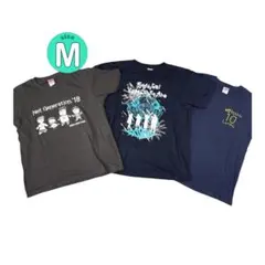 Item thumbnail for item b99d4b81-26ad-4001-afaf-32bc8c3d6464