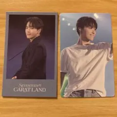 CARATLAND 2024 ディノ VOD特典