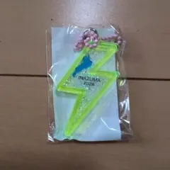 琵琶湖キーホルダー INAZUMA 2026 黄緑