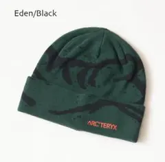 2026年最新】ARC'TERYX カラー：グリーン系 メンズ ニット帽・ビーニー