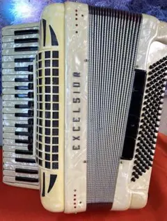 2025年最新】アコーディオン 41鍵盤の人気アイテム - メルカリ