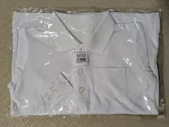 Item thumbnail for item 187062ab-3686-44e8-8aeb-ea8f43d8d48b