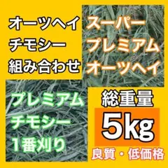 Item thumbnail for item 4a2b87e3-2060-48f8-bd5b-824540e4f1b8