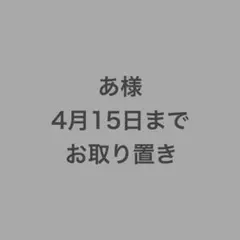 あ様専用　4月15日までお取り置き