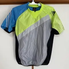 Item thumbnail for item a4cf8537-141c-44e5-884b-903a7b09f481