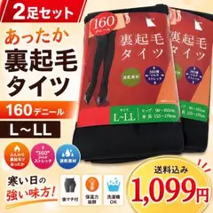 裏起毛タイツ160デニール黒L〜LL暖か防寒ストレッチ