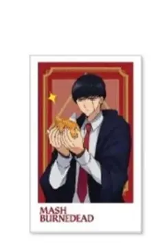 マッシュル ナンジャタウン カード マッシュ