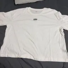 Ｔシャツ