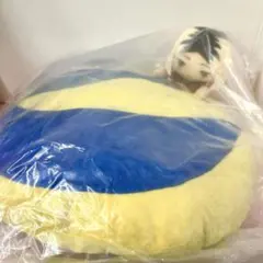 一番くじ ハイキュー!!~ゴミ捨て場の決戦~ C賞 とびつきクッション 孤爪研磨