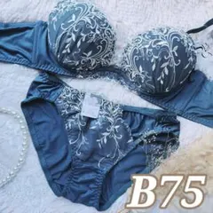 №1126【B75】アラベスクリーフスピンドル育乳脇高ブラジャー&ショーツ