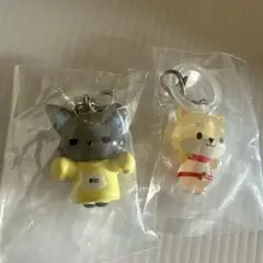 JOCHUM ジェオチャム めじるしアクセサリー ピーハイ まめちぃ