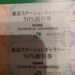 東京ステーションギャラリー入館割引券2枚　JR東日本株主優待