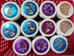 【羽生結弦】LOTTE XYLITOL ガムボトル 11個セットのサムネイル
