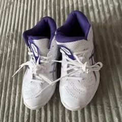 asicsバスケットボール　シューズ　GELHOOP V16 STANDARD