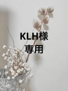 KLH様　専用⚘⁎°.·