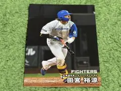田宮裕涼 北海道日本ハムファイターズ　カルビープロ野球チップスカード2025年