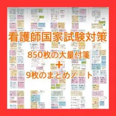 看護師国家試験対策 850枚の大量付箋+9枚のまとめノート