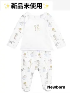 Item thumbnail for item dd03cc9c-fbf2-403f-b43a-2dea36930b45