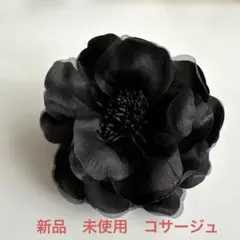 Item thumbnail for item e367575d-8c35-4cc5-b8da-cfffc3328cf1