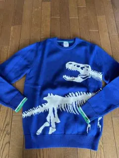 【未使用】GAP KIDS アニマル柄コットンセーター（恐竜）