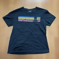 サイコバニー Psycho Bunny カラフルストライプ Tシャツ L美品のサムネイル