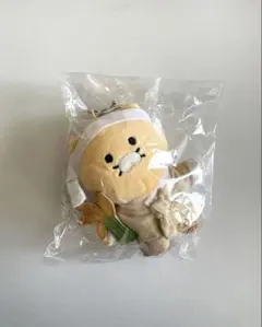 韓国限定 ハリーポッター カカオフレンズ チュンシク ぬいぐるみ