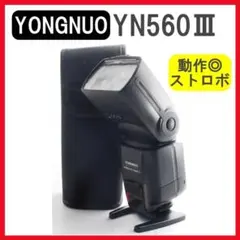 Item thumbnail for item 1d0df289-3571-4a66-9097-d06eebbd7da6