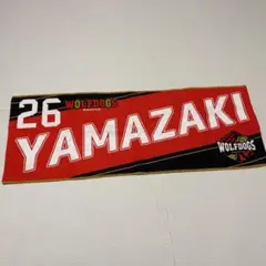 Item thumbnail for item 6c1cbdac-1b7e-470f-87b0-43e70dc79d8d