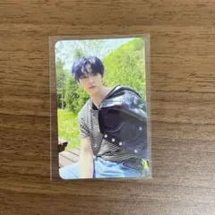 MAXIDENT 店舗特典 トレカ Target 【リノ】