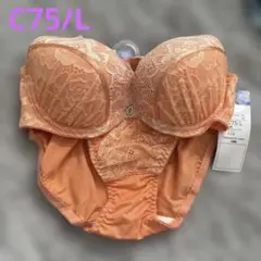 Item thumbnail for item 2575a529-d82e-4779-ab71-35896b0f36d3