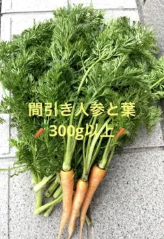 間引き人参と葉300g以上のサムネイル