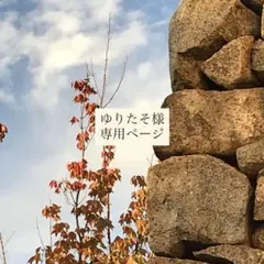 ゆりたそ様　専用ページ