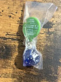 FROG STYLE (フロッグスタイル) めじるしアクセサリー　星ver
