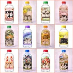 e-I様 リクエスト 2点 まとめ商品