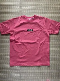 Nanga MTロゴTシャツ S.PNK Sサイズ